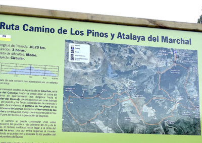 Ruta Camino de los Pinos.