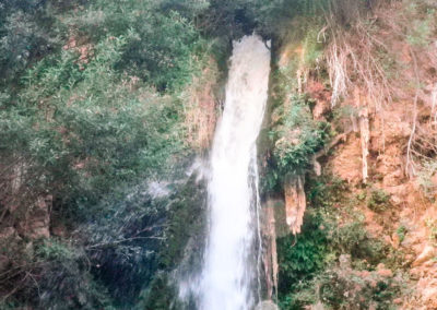 Catarata.